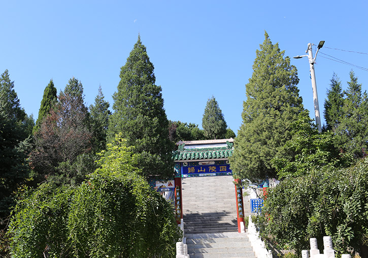 1-1P30Q01119-50.jpg